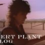 Big Log - Robert Plant