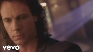 Rock Of Life - Rick Springfield