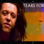 Break It Down Again - Tears for Fears